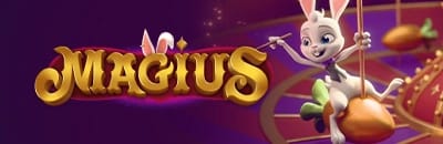 magius-casino-banner